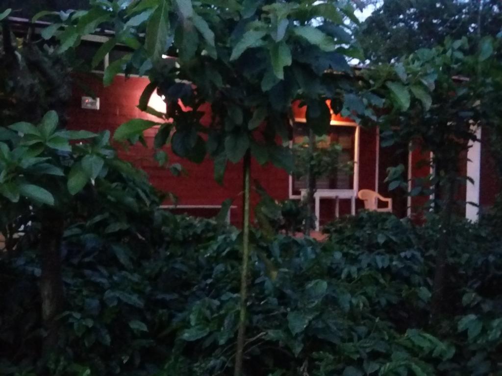 Athena Homestay Somvārpet Exterior foto