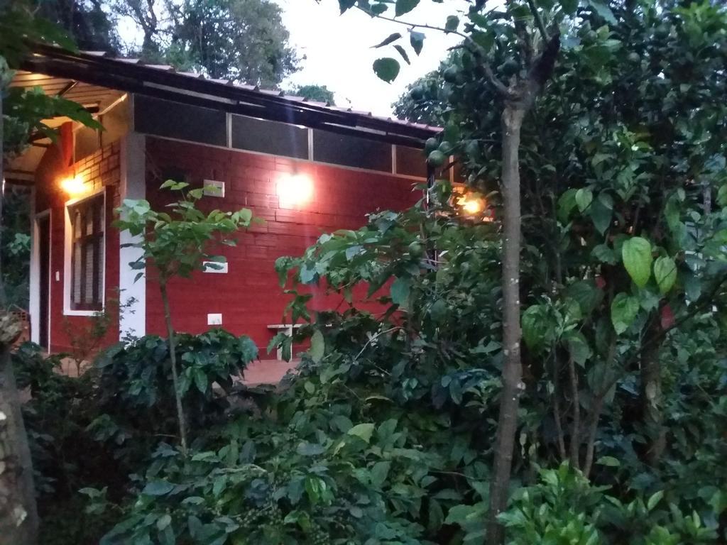 Athena Homestay Somvārpet Exterior foto