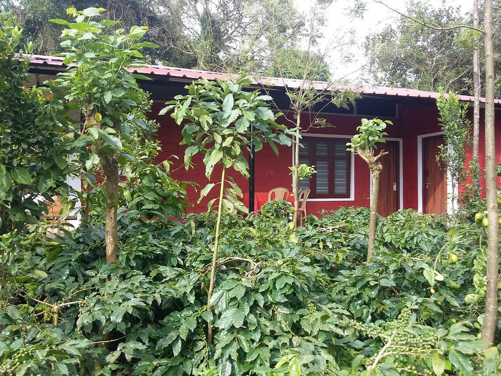 Athena Homestay Somvārpet Exterior foto